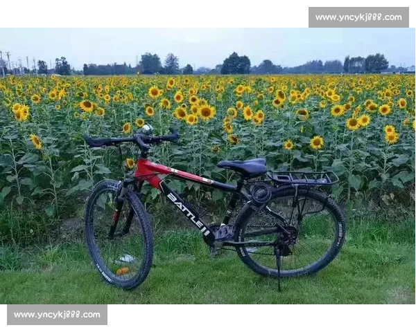 影像记忆：野马赛道 19.5 公里，定格花海前的骑行瞬间